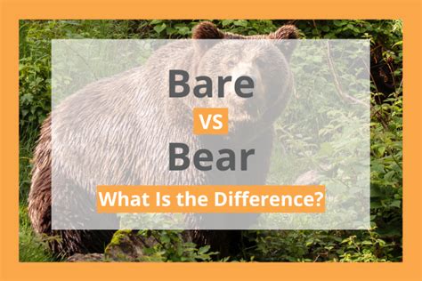 how to pronounce bear|Bear vs Bare .